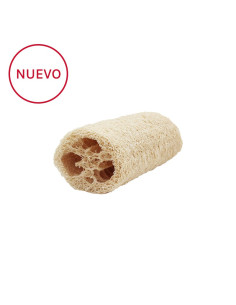 LUFA MEDIANA