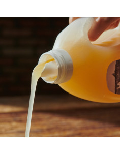 DETERGENTE LIQUIDO JABON MARSELLA 2