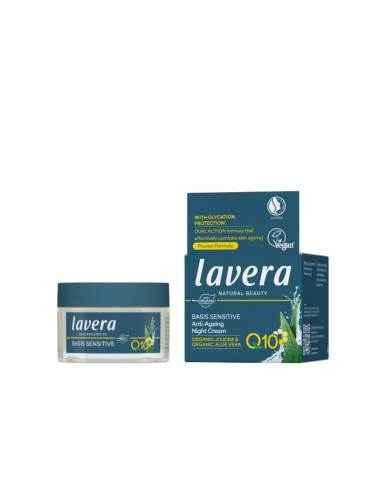 CREMA NOCHE Q10 BS